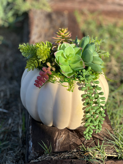 Faux Pumpkin Succulent Arrangement