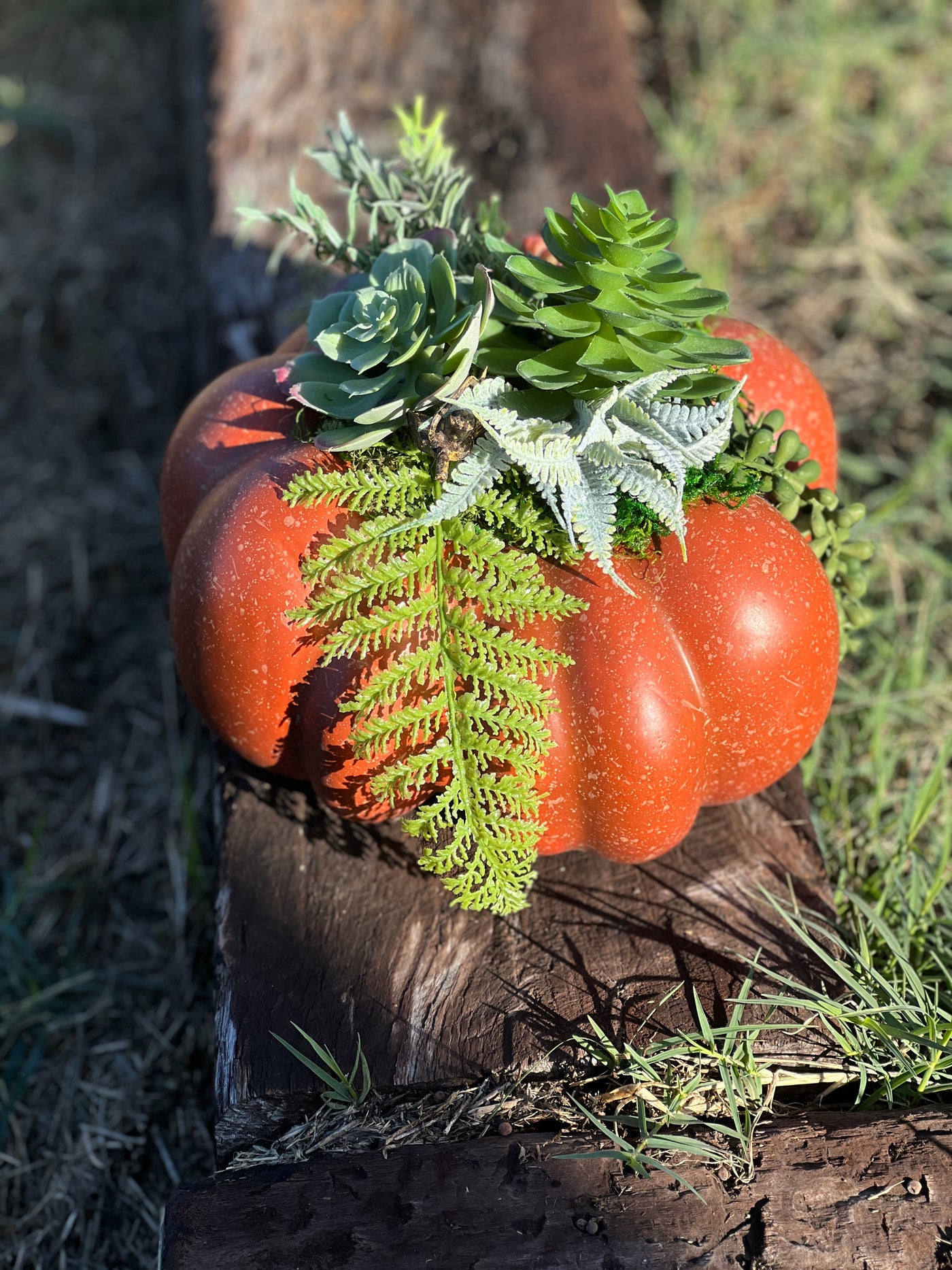 Faux Pumpkin Succulent Arrangement