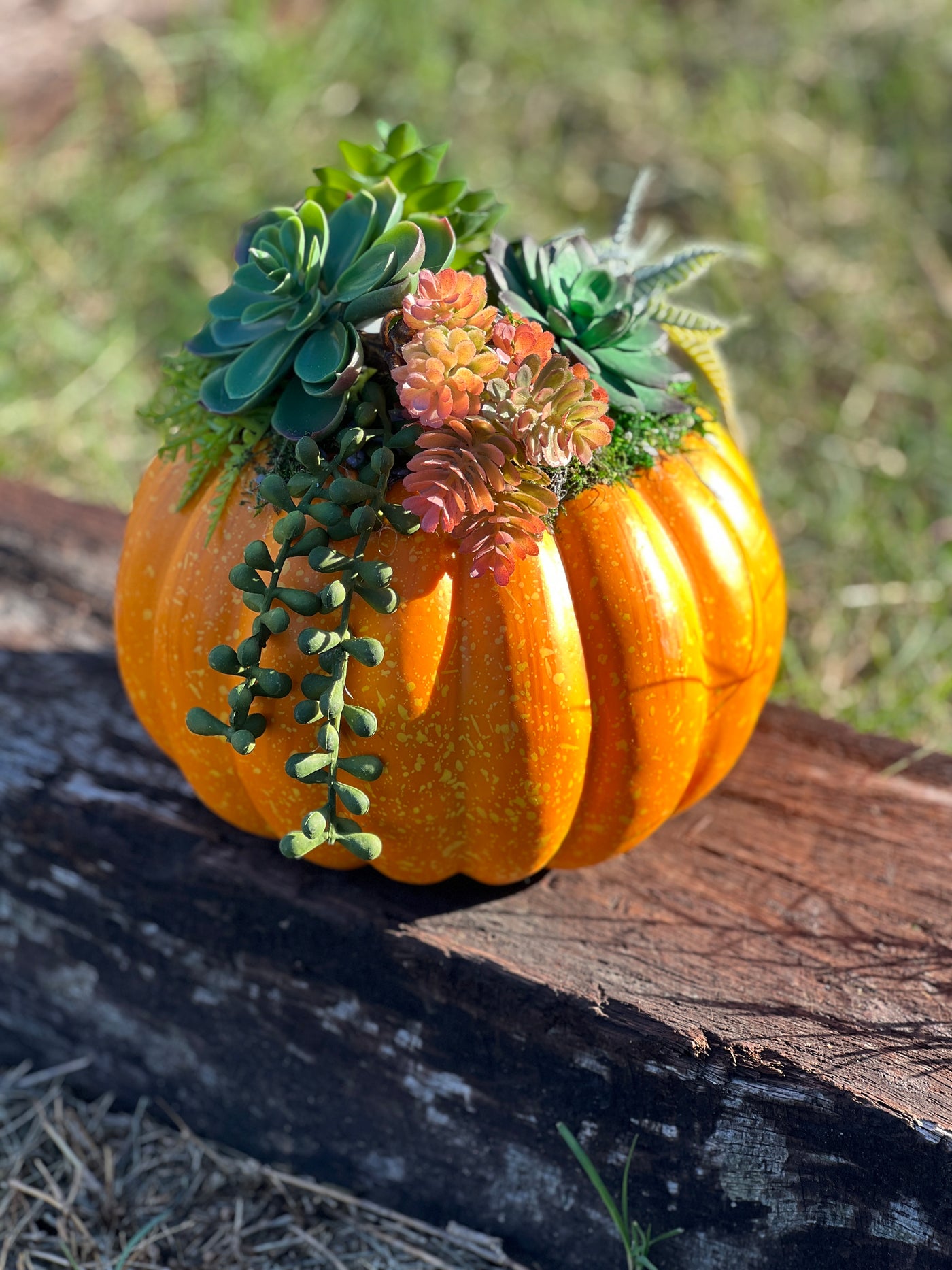 Faux Pumpkin Succulent Arrangement